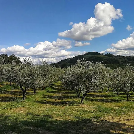 Vakantiehuis Ginocchetti Kaštelir
