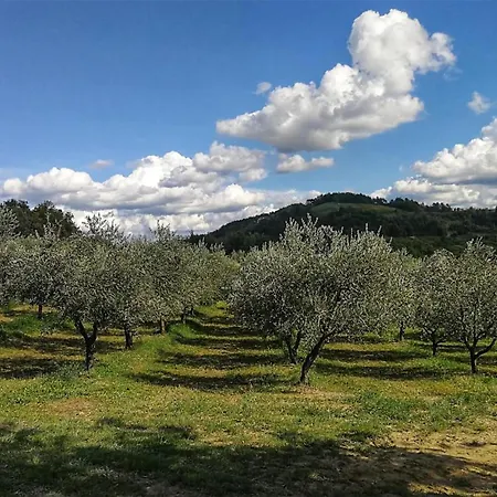 بيت للعطل Ginocchetti Kaštelir