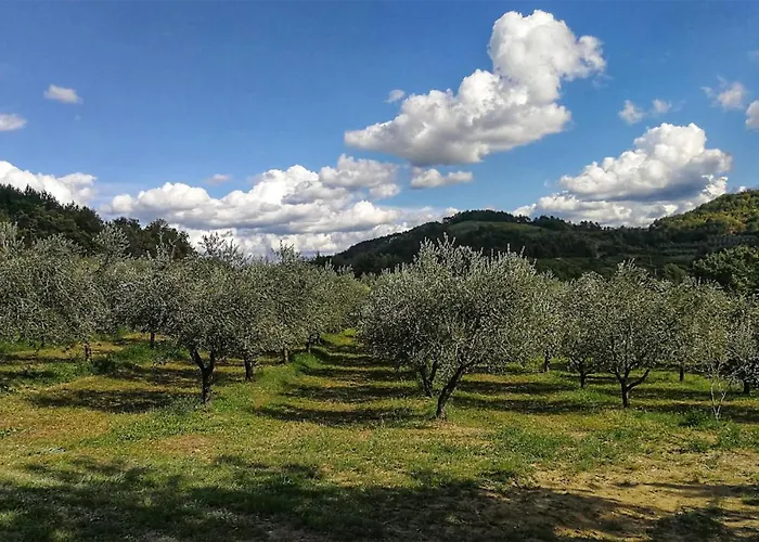 Vakantiehuis Ginocchetti Kaštelir